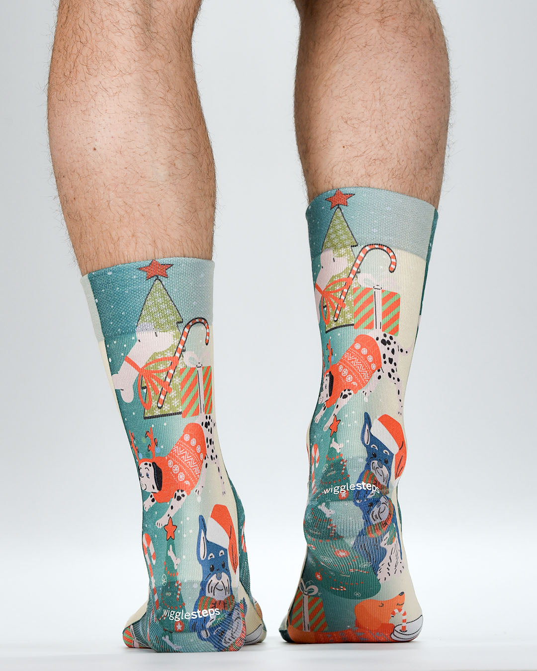 Party Dog Man Sock