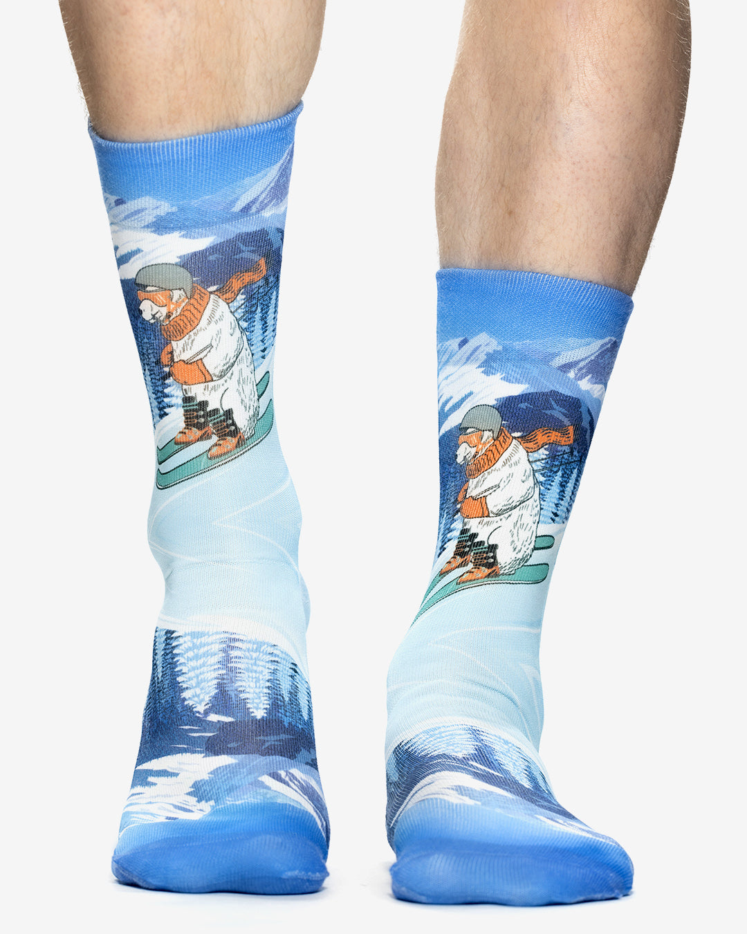 SKIER BEAR Man Socks
